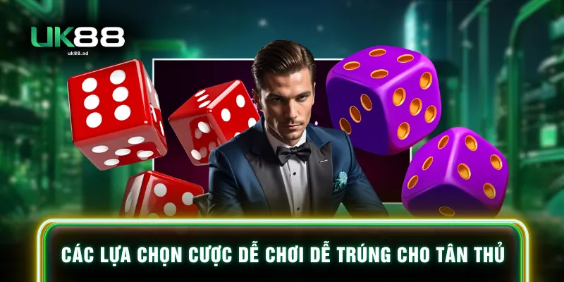 Các lựa chọn cược dễ chơi dễ trúng cho tân thủ